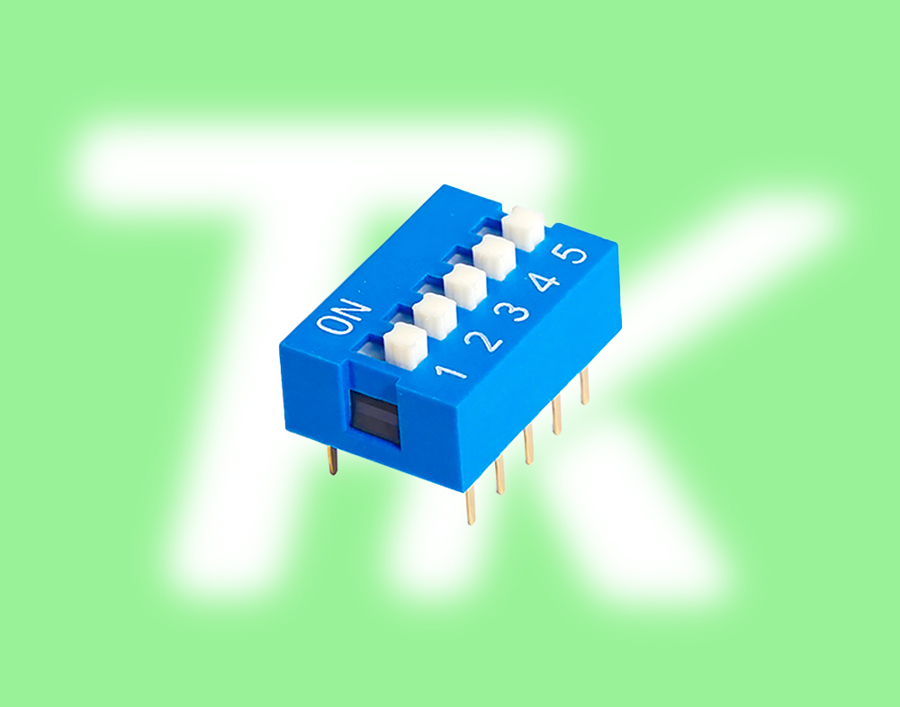 撥碼開(kāi)關(guān) 21